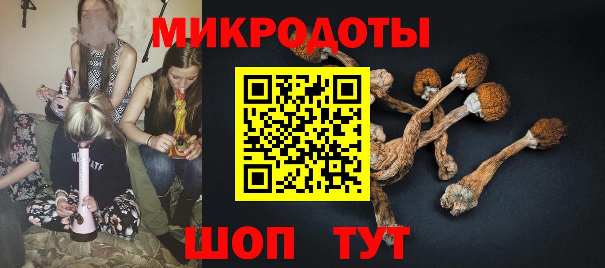 Псилоцибиновые грибы GOLDEN TEACHER  дарнет шоп  Новотроицк  Галлюциногенные грибы Cubensis  Вход с VPN 